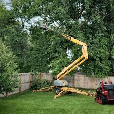 Seasonal Cleanup (Spring/Fall) in Spanish Springs, NV